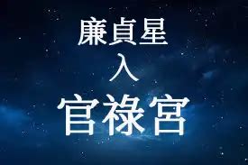 廉貞星|廉貞星在官祿宮/事業宮